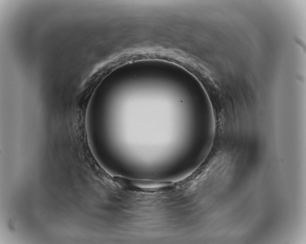 X0000095881494200801111122