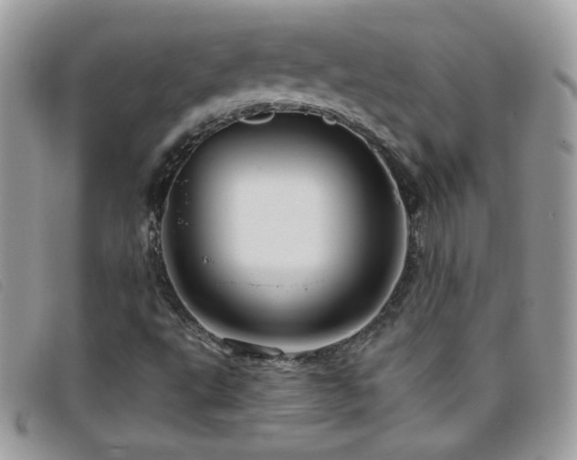 X0000095881495200801111122