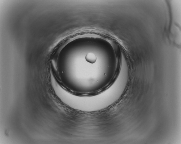 X0000095881496200801111122