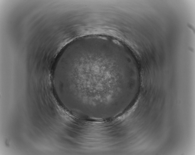 X0000095881497200801111122