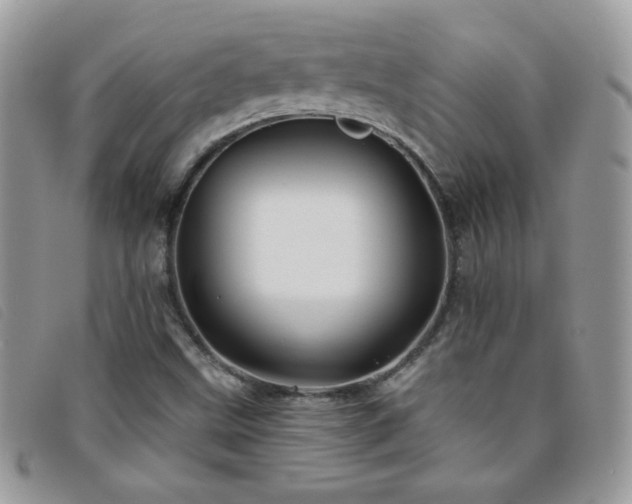 X0000095881499200801111122