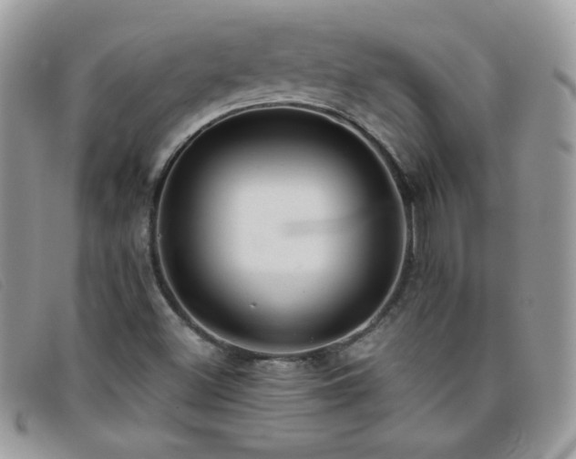 X0000095881500200801111122