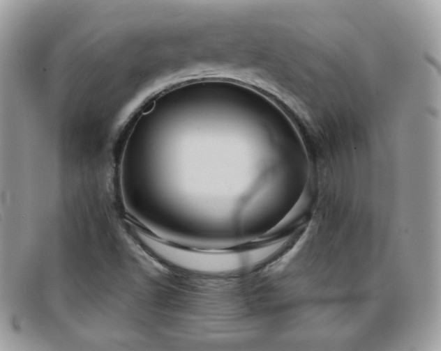 X0000095881502200801111122