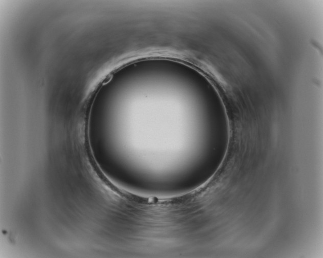 X0000095881504200801111122