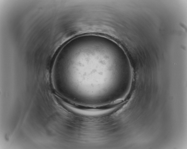 X0000095881505200801111122