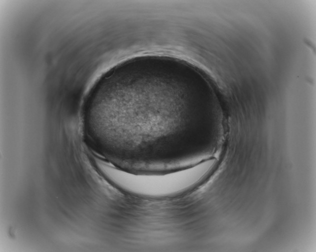 X0000095881506200801111122