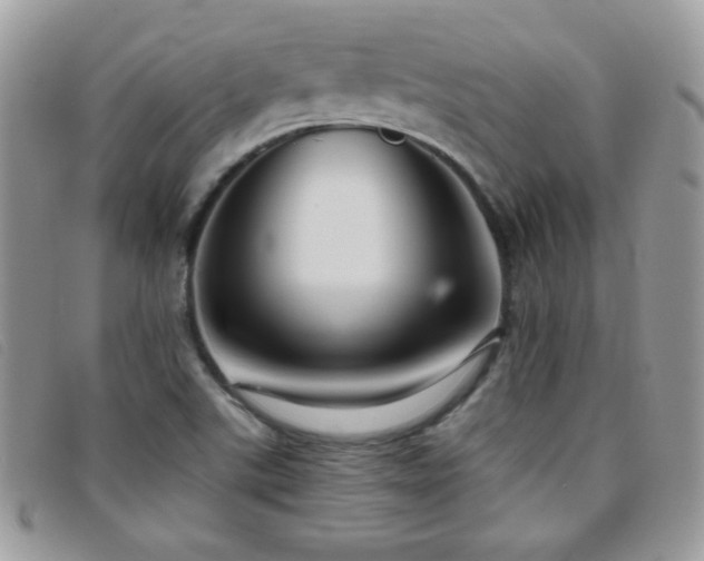 X0000095881507200801111122