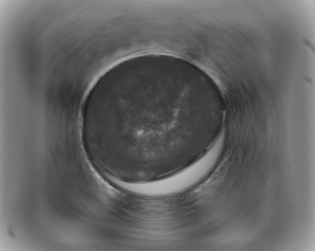 X0000095881508200801111122
