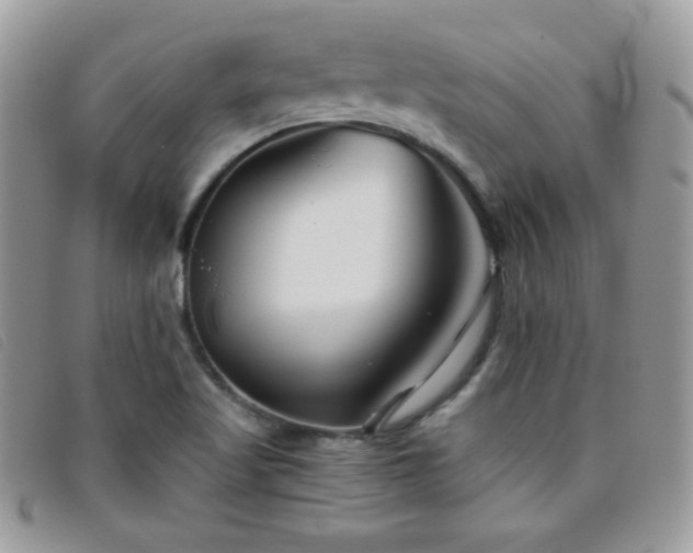 X0000095881509200801111122