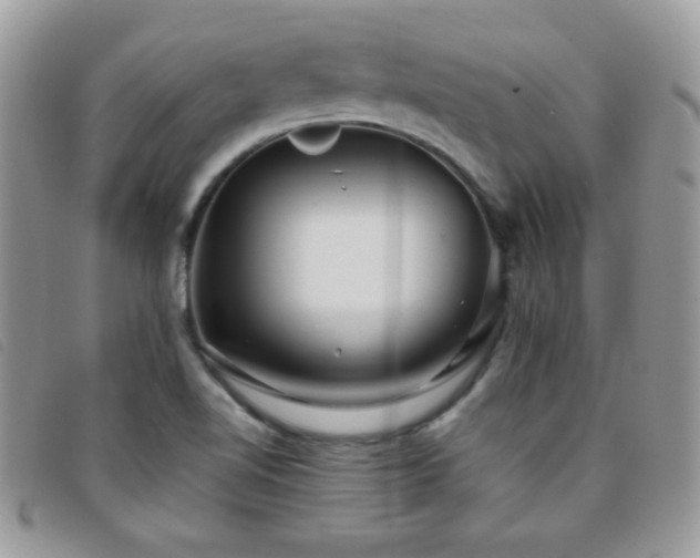 X0000095881510200801111122