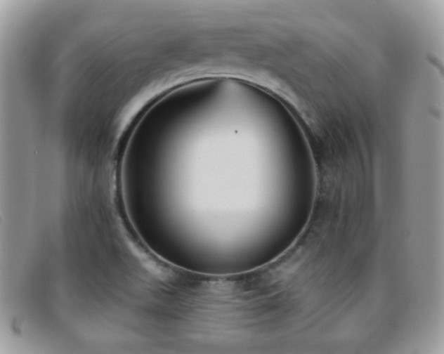 X0000095881511200801111122