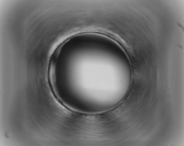 X0000095881512200801111122