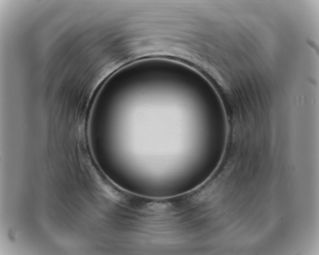 X0000095881513200801111122