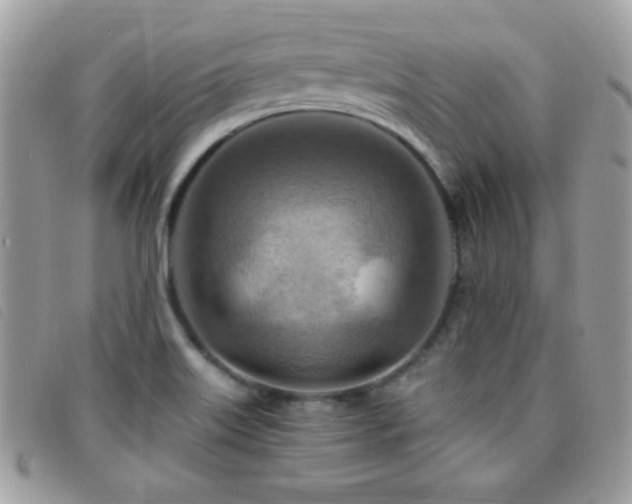 X0000095881515200801111122