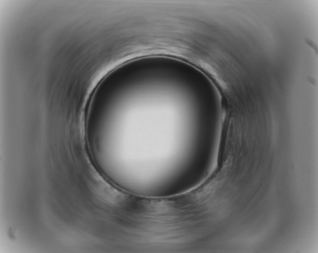 X0000095881516200801111122