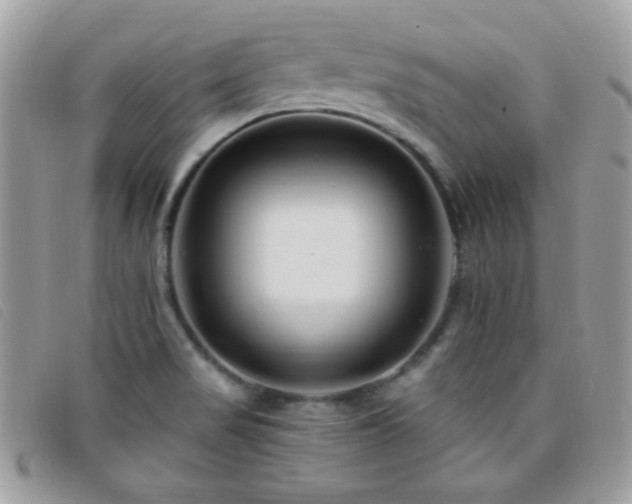 X0000095881517200801111122