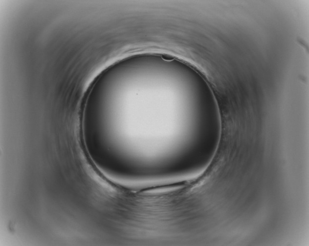 X0000095881518200801111122
