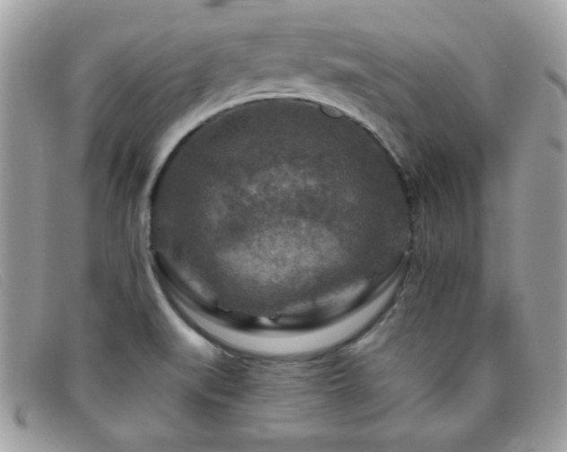 X0000095881519200801111122