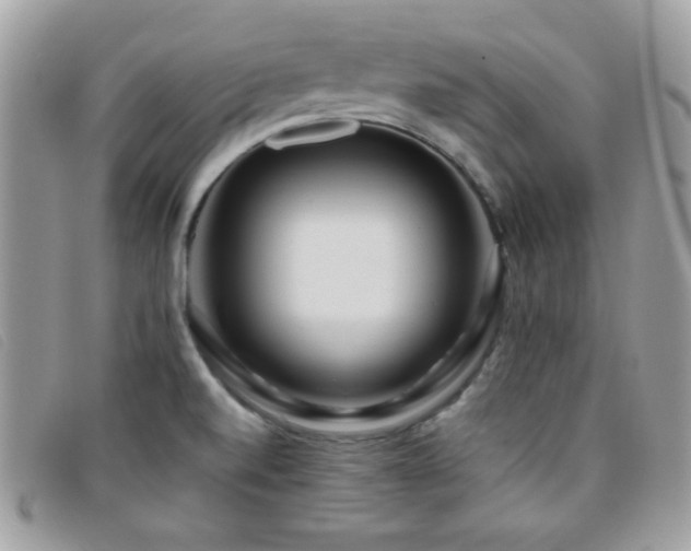 X0000095881520200801111122