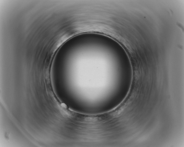 X0000095881521200801111122