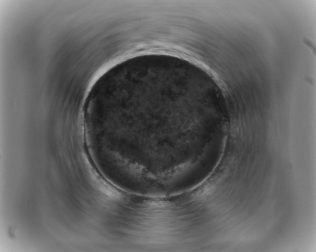 X0000095881522200801111122