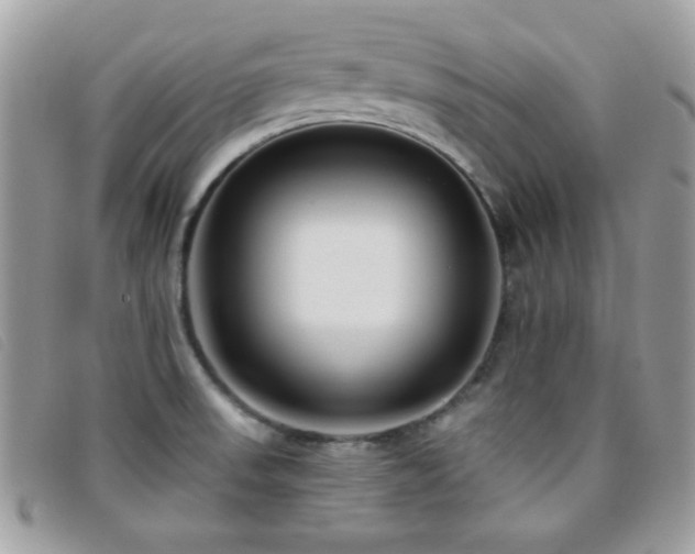 X0000095881523200801111122