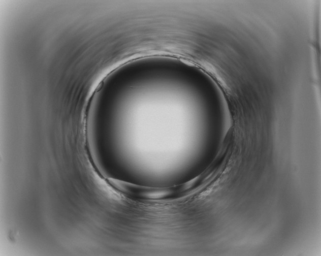 X0000095881524200801111122