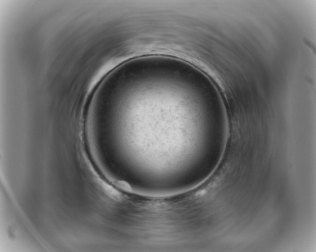 X0000095881525200801111122