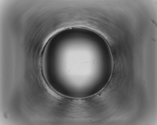 X0000095881526200801111122