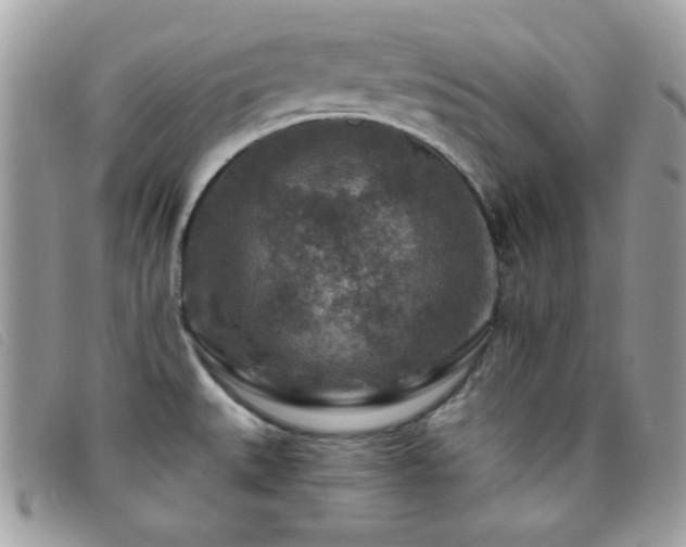 X0000095881527200801111122
