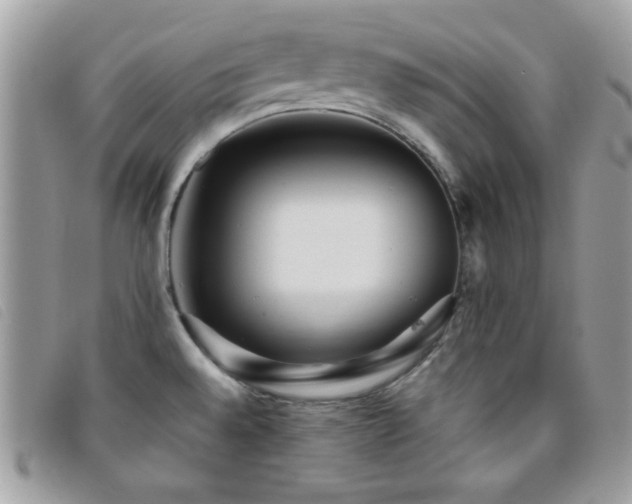 X0000095881528200801111122