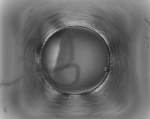 X0000095881529200801111122
