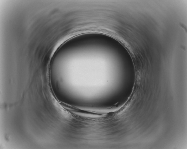 X0000095881530200801111122