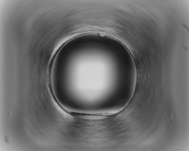 X0000095881531200801111122