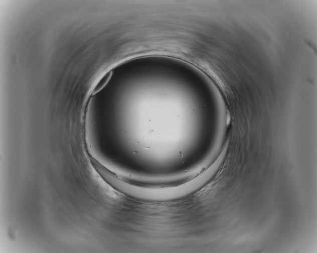 X0000095881532200801111122