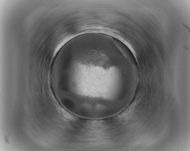 X0000095881533200801111122
