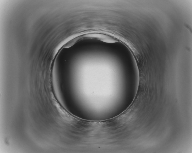 X0000095881534200801111122
