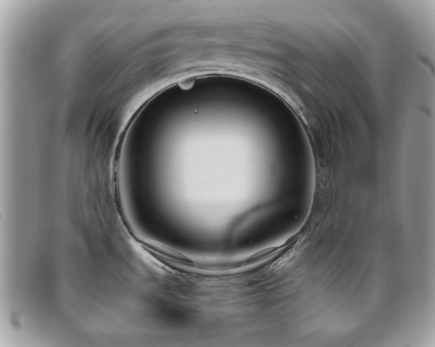 X0000095881535200801111122