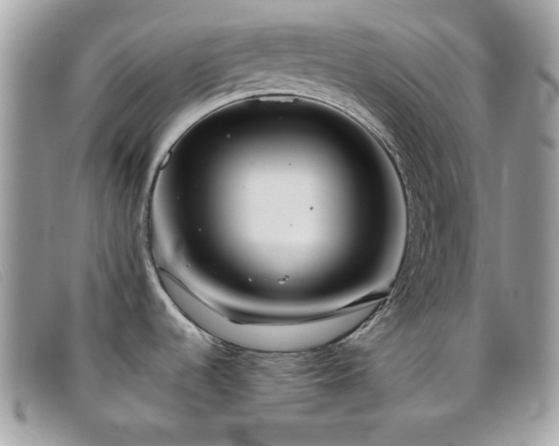 X0000095881536200801111122