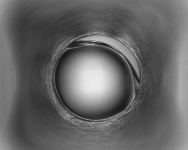 X0000095880001200801181215