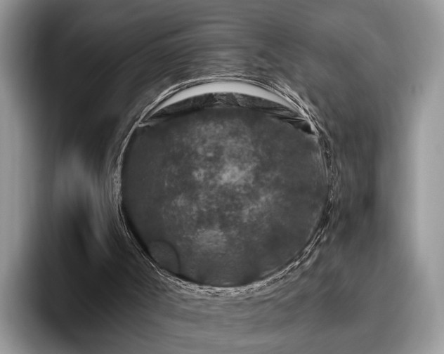 X0000095880002200801181215