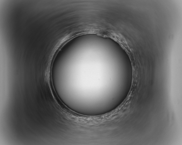 X0000095880003200801181215