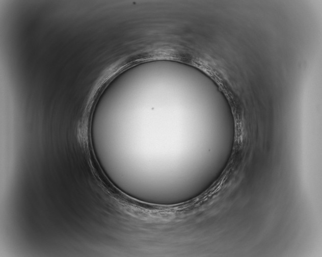 X0000095880004200801181215