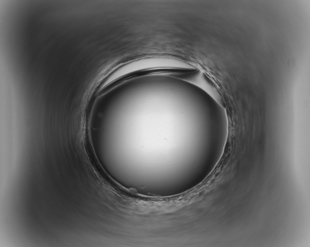 X0000095880005200801181215