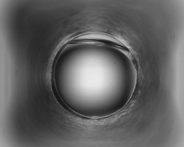 X0000095880007200801181215