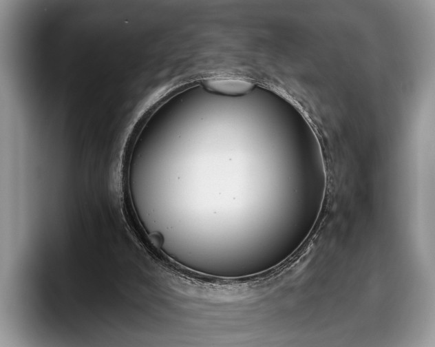 X0000095880008200801181215