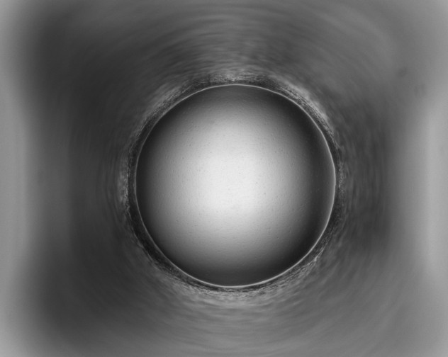 X0000095880010200801181215