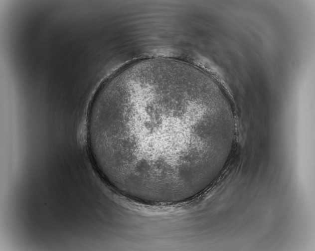 X0000095880012200801181215