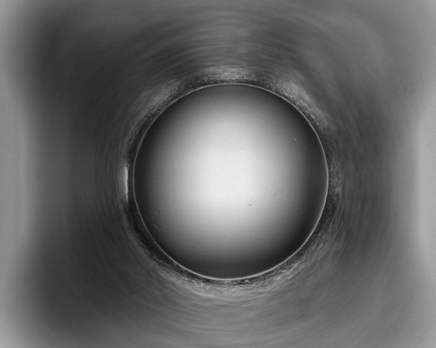 X0000095880014200801181215