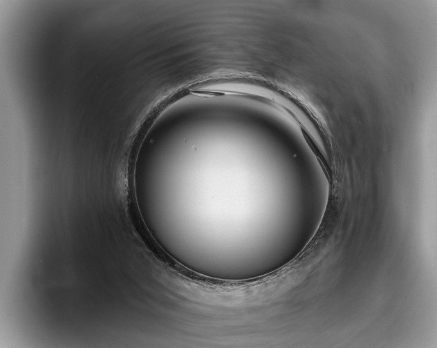 X0000095880015200801181215